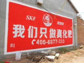 太和刷墙广告”蕴含了时代命题