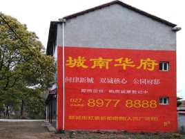 太和百分之90的人都不了解的农村墙体广告