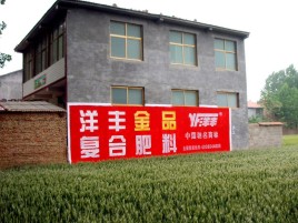太和如何让墙体广告展现最大化效果