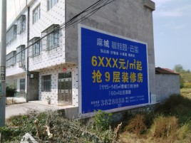 太和墙体广告质量分析