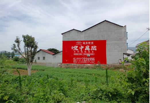 太和做墙体广告的意义