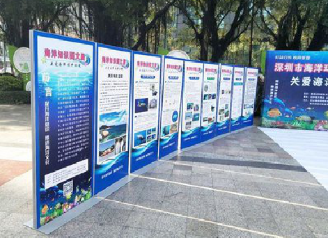 太和KT板的种类和知识。